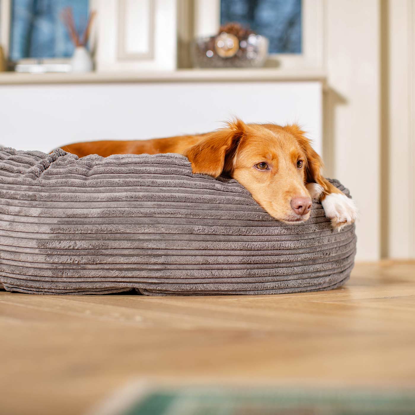 Discover Our Handmade Luxury Donut Dog Bed, In Dark Grey Essentials Plush, The Perfect Choice For Puppies Available Now at Lords & Labradors US