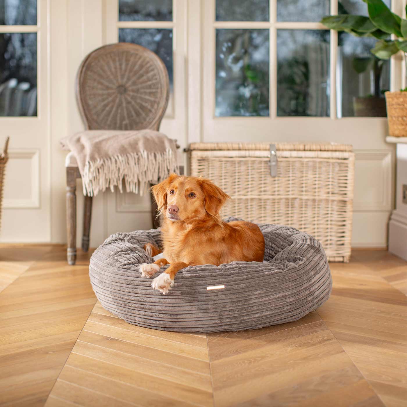 Discover Our Handmade Luxury Donut Dog Bed, In Dark Grey Essentials Plush, The Perfect Choice For Puppies Available Now at Lords & Labradors US