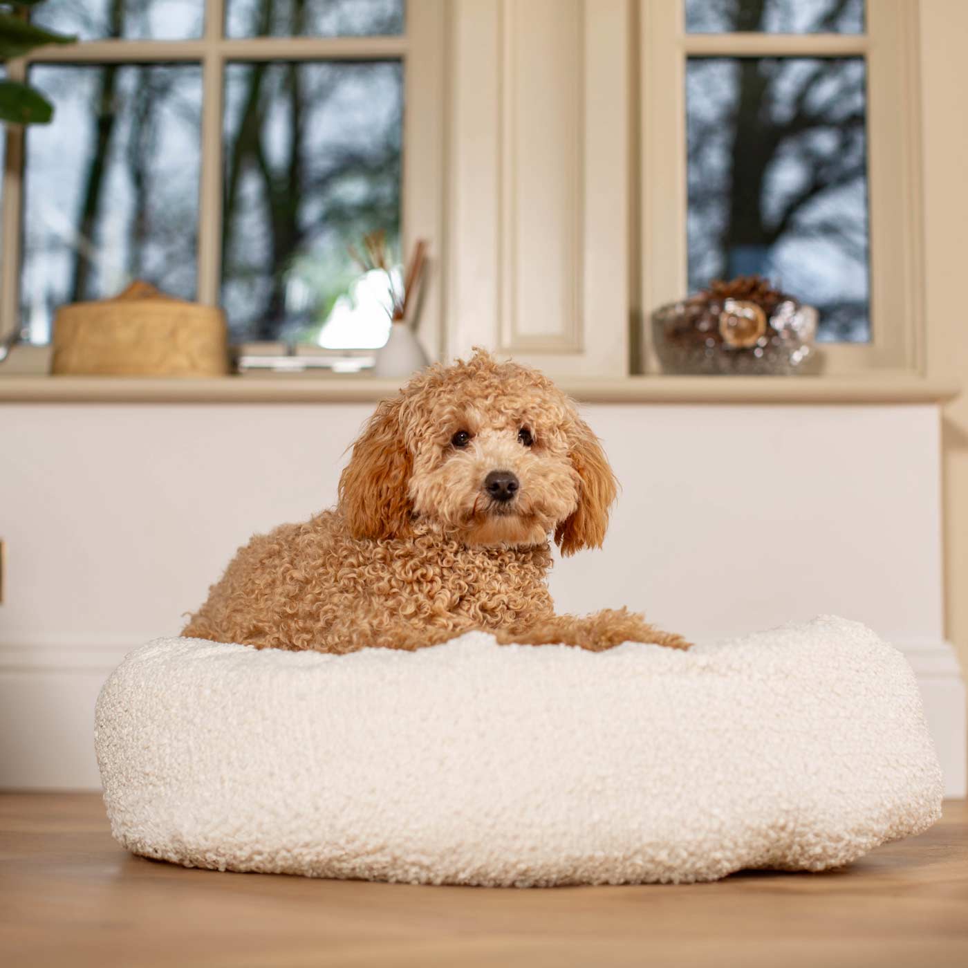 Discover Our Handmade Luxury Donut Dog Bed, In Ivory Bouclé, The Perfect Choice For Puppies Available Now at Lords & Labradors US
