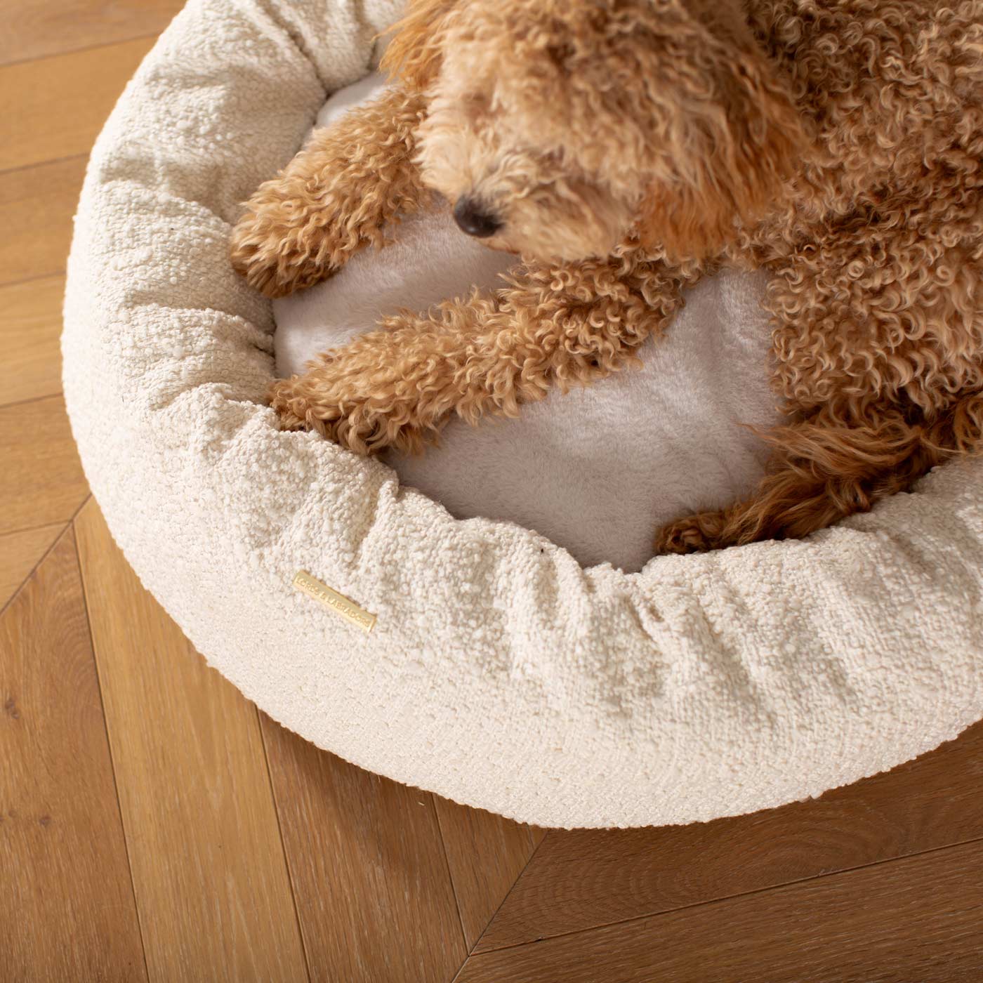 Discover Our Handmade Luxury Donut Dog Bed, In Ivory Bouclé, The Perfect Choice For Puppies Available Now at Lords & Labradors US
