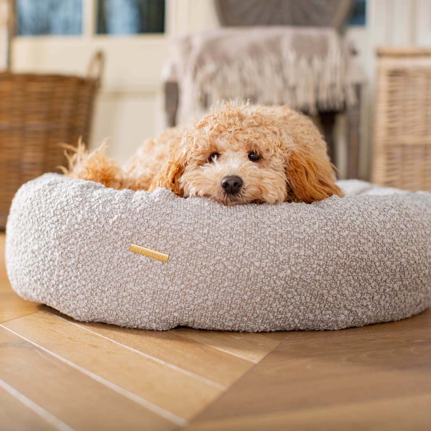 Discover Our Handmade Luxury Donut Dog Bed, In Mink Bouclé, The Perfect Choice For Puppies Available Now at Lords & Labradors US