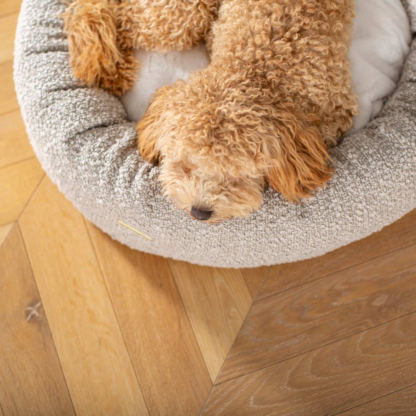 Discover Our Handmade Luxury Donut Dog Bed, In Mink Bouclé, The Perfect Choice For Puppies Available Now at Lords & Labradors US