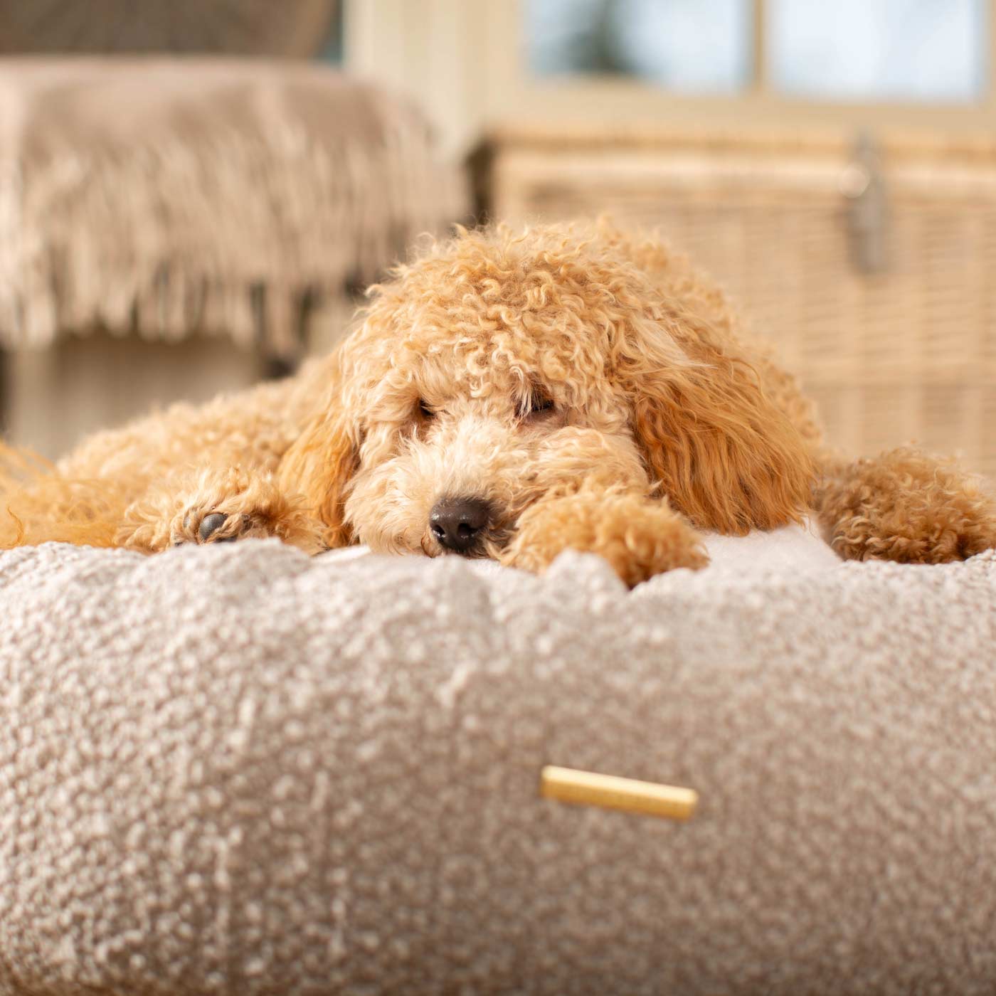 Discover Our Handmade Luxury Donut Dog Bed, In Mink Bouclé, The Perfect Choice For Puppies Available Now at Lords & Labradors US