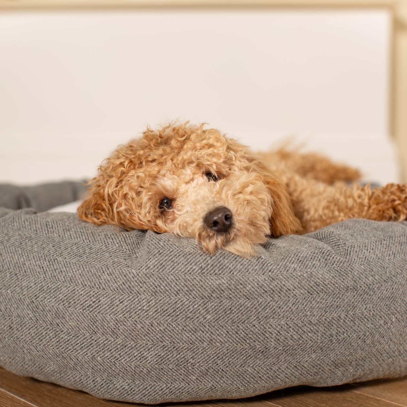 Discover Our Handmade Luxury Donut Dog Bed, In Pewter Herringbone Tweed, The Perfect Choice For Puppies Available Now at Lords & Labradors US