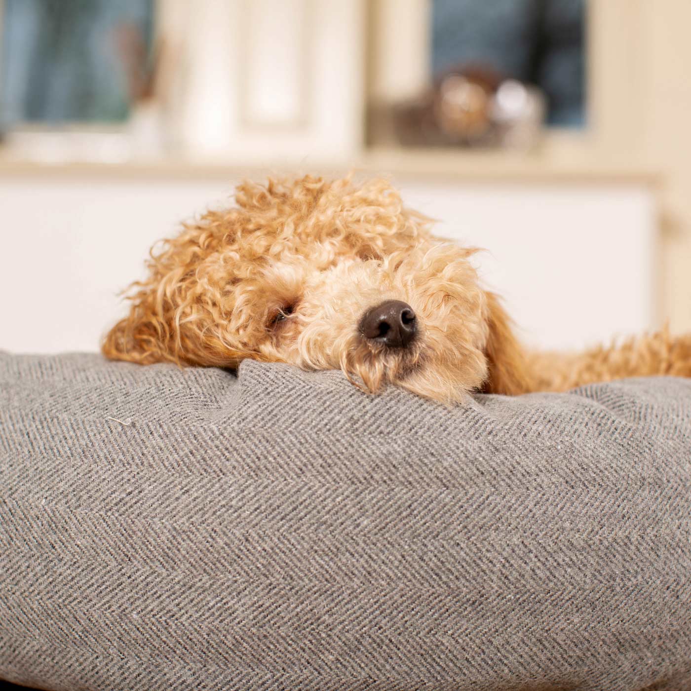 Discover Our Handmade Luxury Donut Dog Bed, In Pewter Herringbone Tweed, The Perfect Choice For Puppies Available Now at Lords & Labradors US