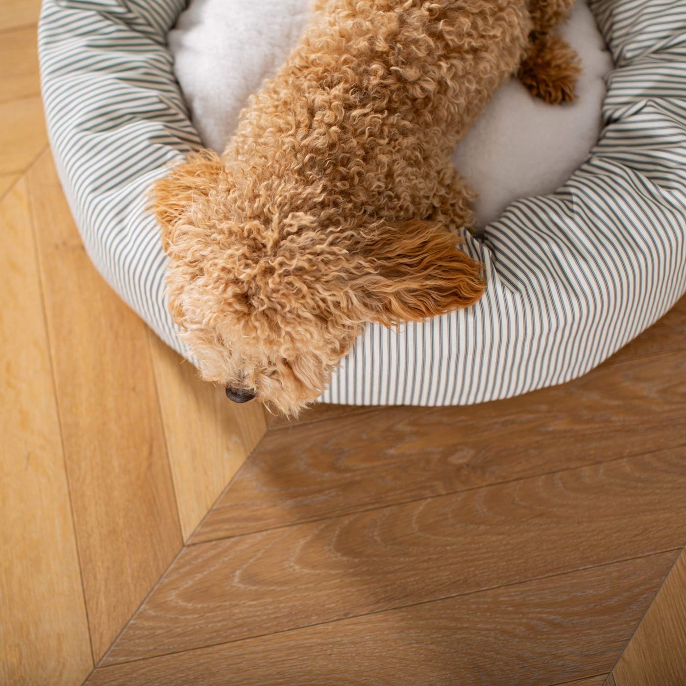Discover Our Handmade Luxury Donut Dog Bed, In Regency Stripe, The Perfect Choice For Puppies Available Now at Lords & Labradors US