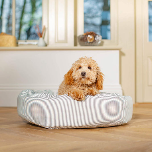 Discover Our Handmade Luxury Donut Dog Bed, In Regency Stripe, The Perfect Choice For Puppies Available Now at Lords & Labradors US