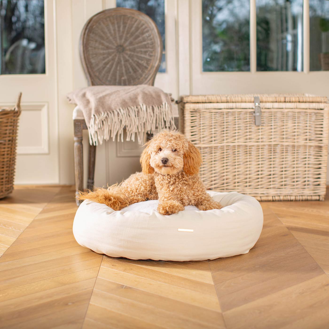 Discover Our Handmade Luxury Donut Dog Bed, In Savanna Bone, The Perfect Choice For Puppies Available Now at Lords & Labradors US