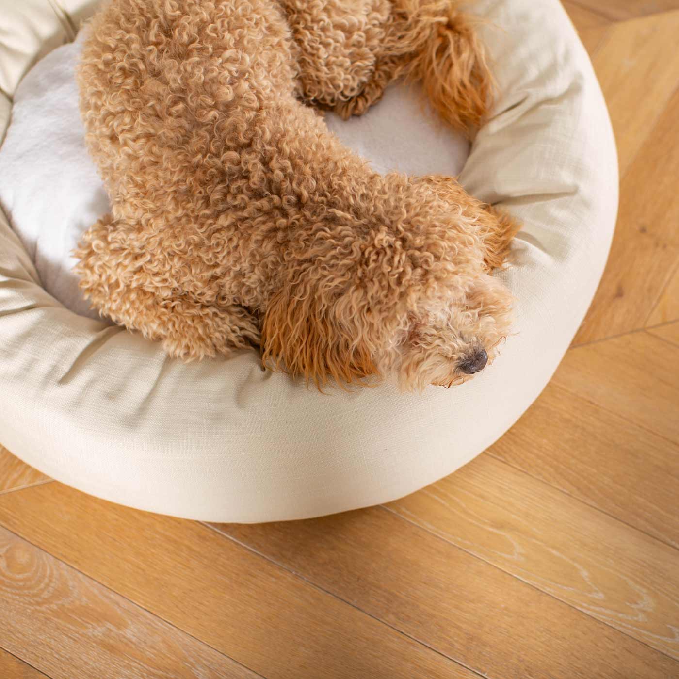 Discover Our Handmade Luxury Donut Dog Bed, In Savanna Bone, The Perfect Choice For Puppies Available Now at Lords & Labradors US