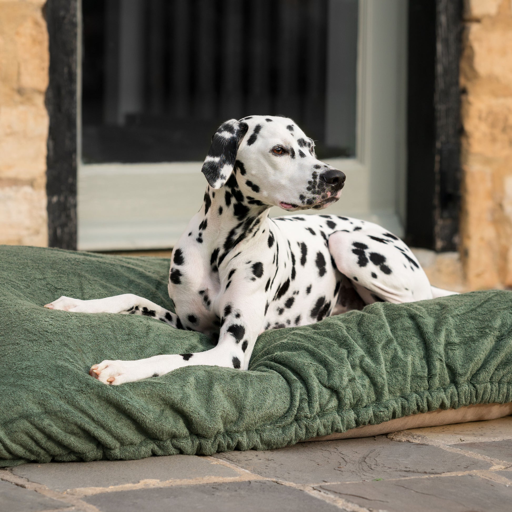 Introducing the ultimate bamboo dog drying cushion cover in beautiful fir green, made from luxurious bamboo to aid sensitive skin featuring elasticated hem for a snug fit with super absorbent material for easy pet drying! Available now at Lords & Labradors US, In three sizes and four colors to suit all breeds!