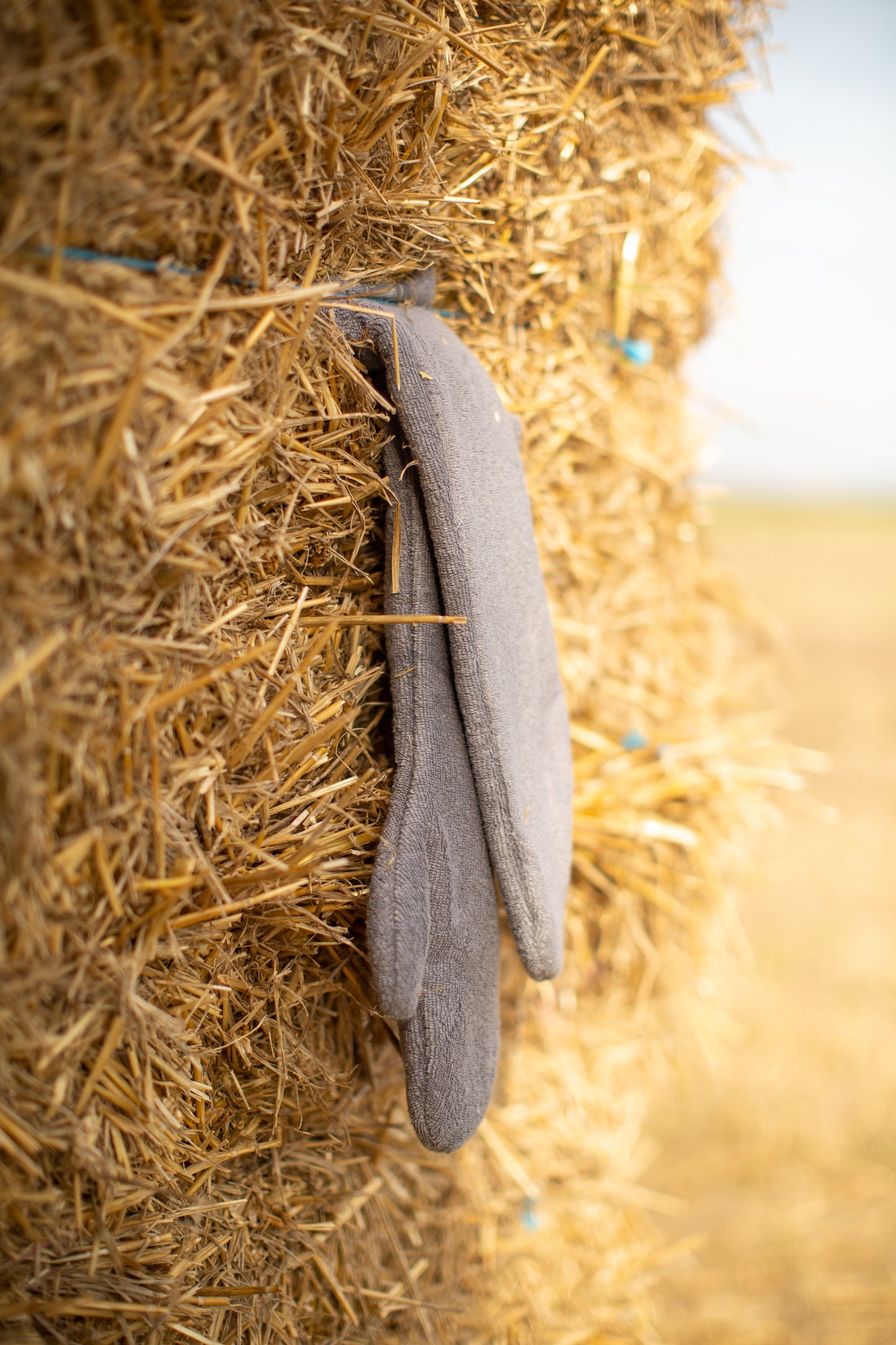 Introducing the ultimate bamboo dog drying mitts in beautiful grey Gun Metal, made from luxurious bamboo to aid sensitive skin featuring universal size to fit all with super absorbent material for easy pet drying! The perfect dog drying gloves, available now at Lords & Labradors US, In four colors!
