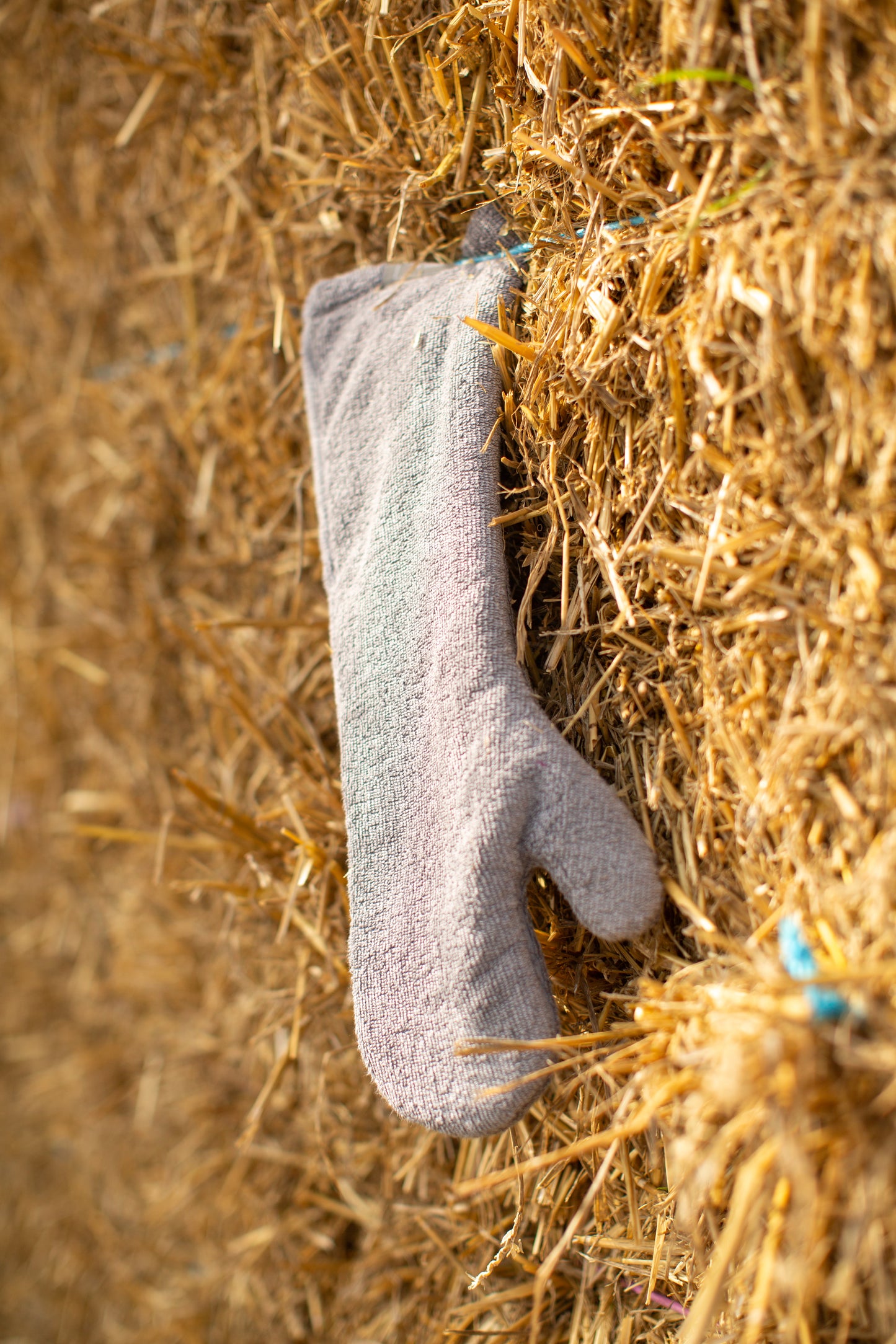 Introducing the ultimate bamboo dog drying mitts in beautiful grey Gun Metal, made from luxurious bamboo to aid sensitive skin featuring universal size to fit all with super absorbent material for easy pet drying! The perfect dog drying gloves, available now at Lords & Labradors US, In four colors!