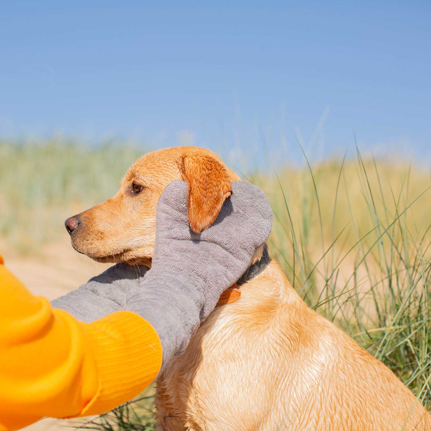 Introducing the ultimate bamboo dog drying mitts in beautiful grey Gun Metal, made from luxurious bamboo to aid sensitive skin featuring universal size to fit all with super absorbent material for easy pet drying! The perfect dog drying gloves, available now at Lords & Labradors US, In four colors!