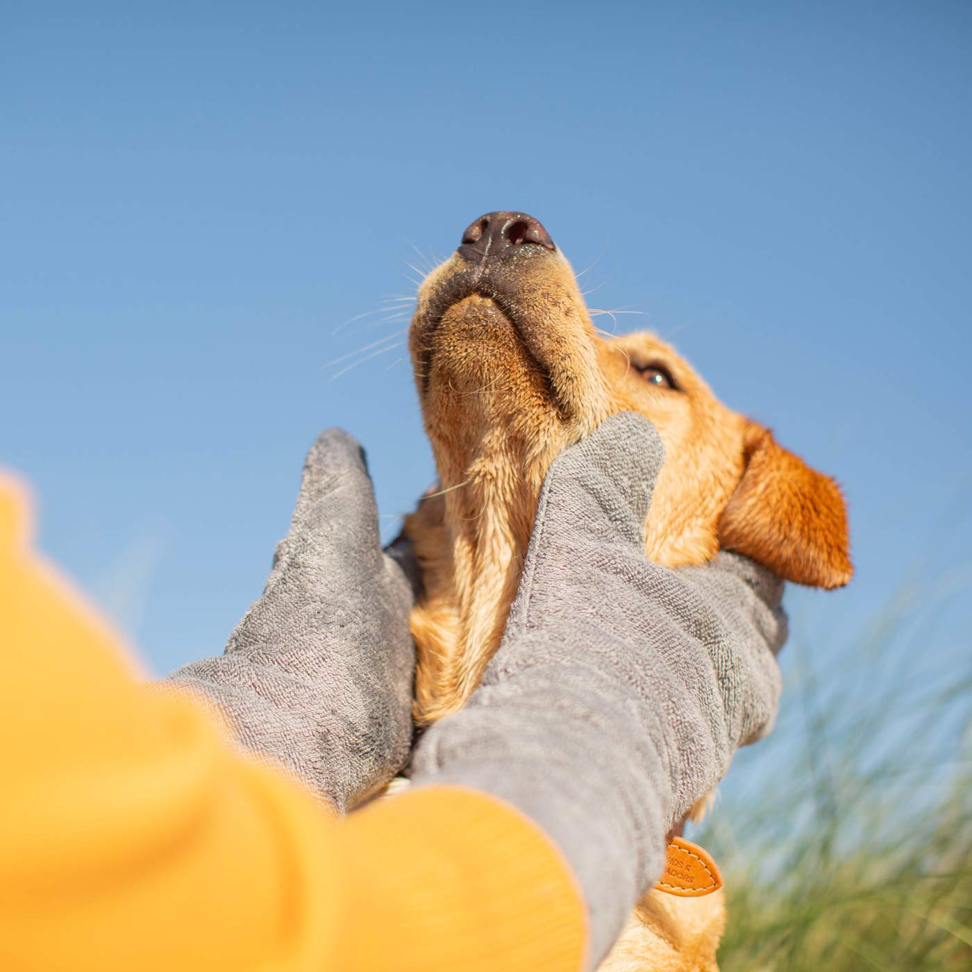 Introducing the ultimate bamboo dog drying mitts in beautiful grey Gun Metal, made from luxurious bamboo to aid sensitive skin featuring universal size to fit all with super absorbent material for easy pet drying! The perfect dog drying gloves, available now at Lords & Labradors US, In four colors!