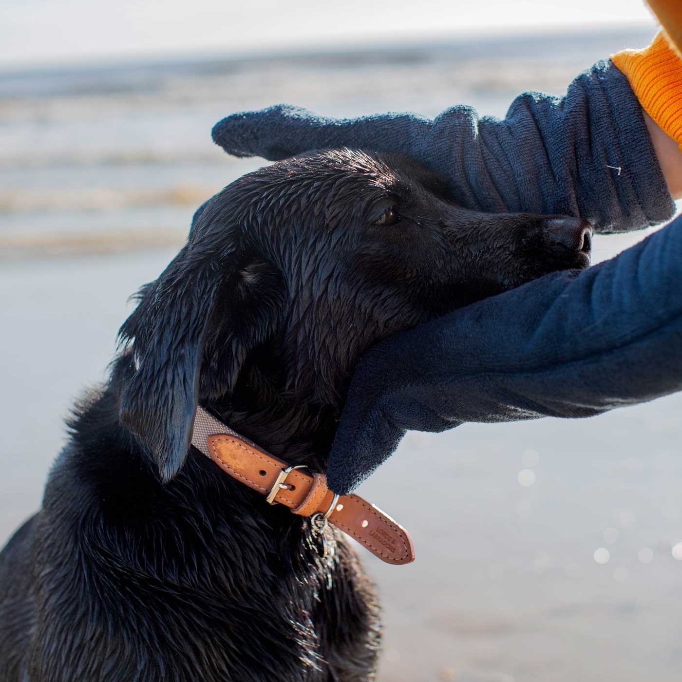 Introducing the ultimate bamboo dog drying mitts in beautiful Navy, made from luxurious bamboo to aid sensitive skin featuring universal size to fit all with super absorbent material for easy pet drying! The perfect dog drying gloves, available now at Lords & Labradors US, In four colors!