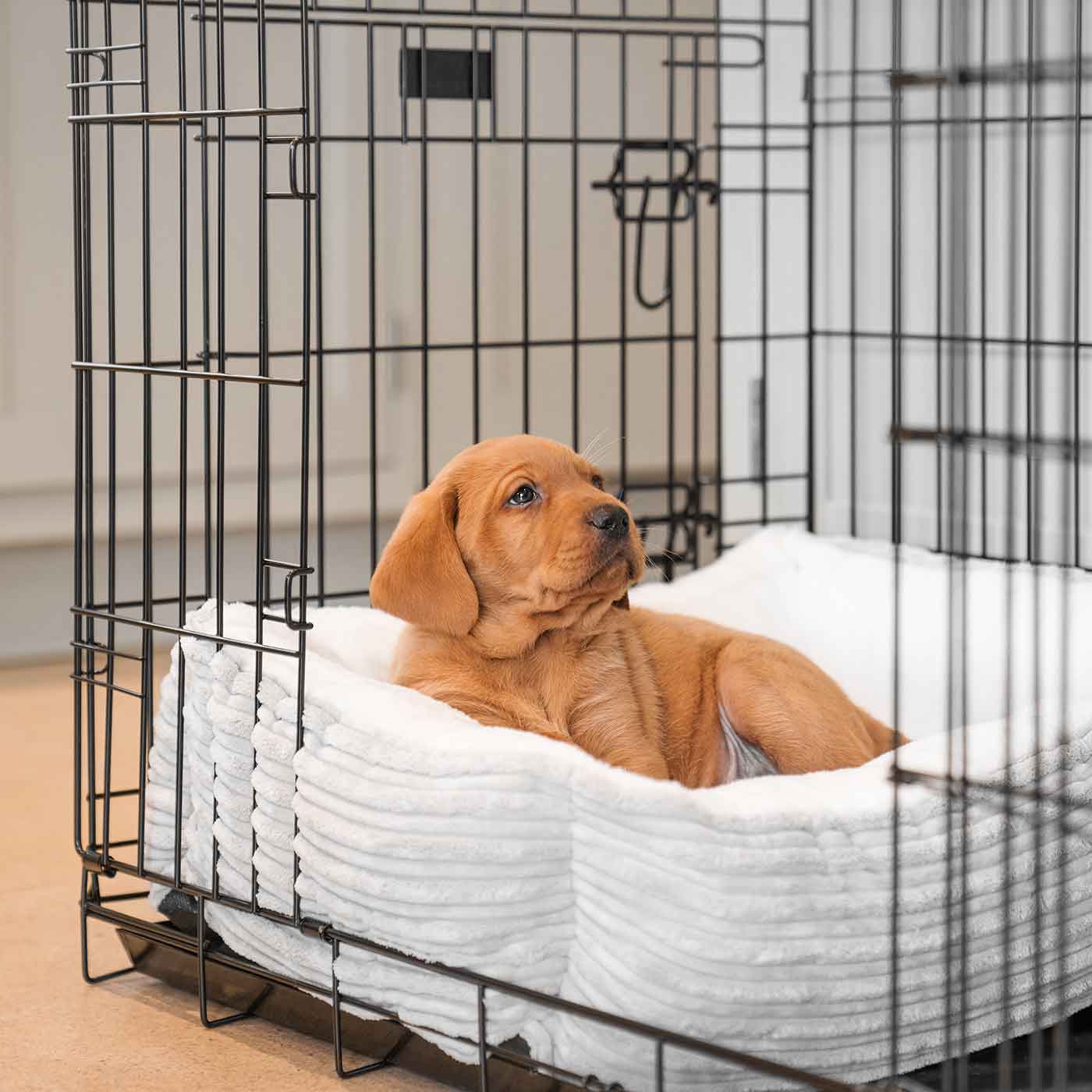 Cozy & Calm Puppy Cage Bed, The Perfect Dog Cage Accessory For The Ultimate Dog Den! In Stunning Light Grey Essentials Plush! Available To Personalize at Lords & Labradors US