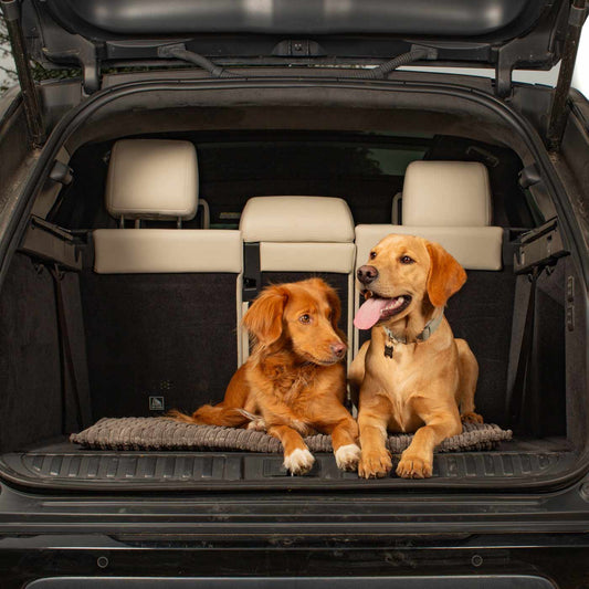 Embark on the perfect pet travel with our luxury Travel Mat in Essentials Dark Grey. Featuring a Carry handle for on the move once Rolled up for easy storage, can be used as a seat cover, boot mat or travel bed! Available now at Lords & Labradors US