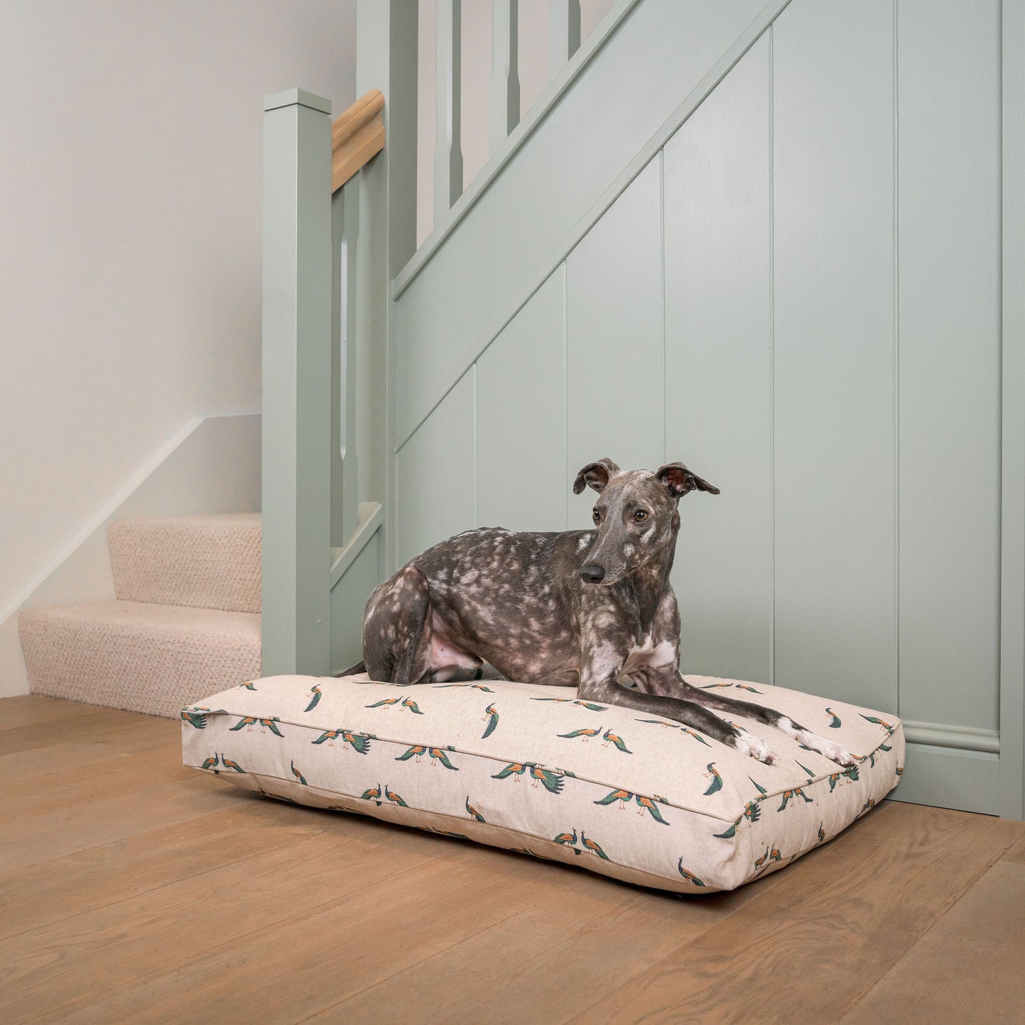 Luxury Dog Cushion, In woodland Peacock. Available For Pet Personalization, Handmade Here at Lords & Labradors US! Order The Perfect Pet Cushion Today For The Ultimate Burrow!