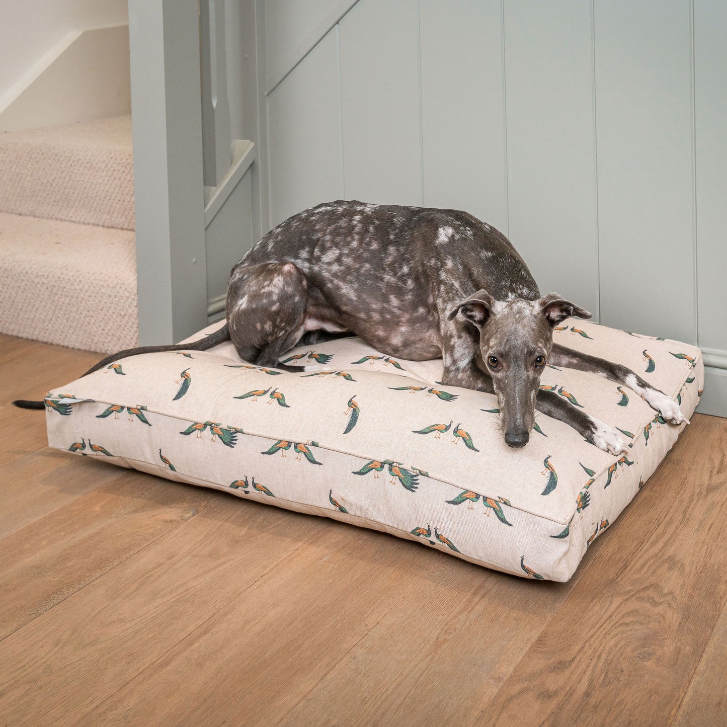 Luxury Dog Cushion, In woodland Peacock. Available For Pet Personalization, Handmade Here at Lords & Labradors US! Order The Perfect Pet Cushion Today For The Ultimate Burrow!