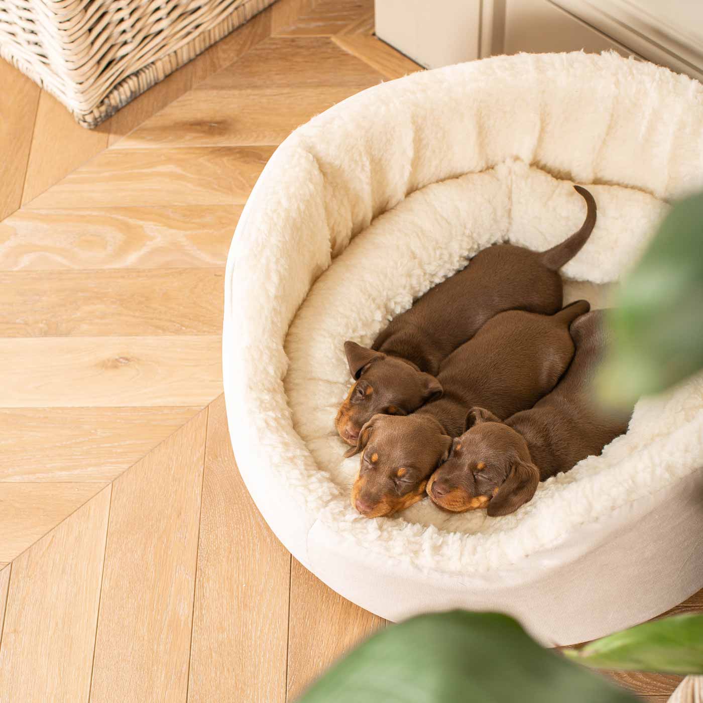 Grow With me Puppy Oval Bed, Crafted From Plush Sherpa Fleece & Suede Outer, Complete With Foam Inner For The Perfect Bed For Your Dog! Available Now at Lords & Labradors US