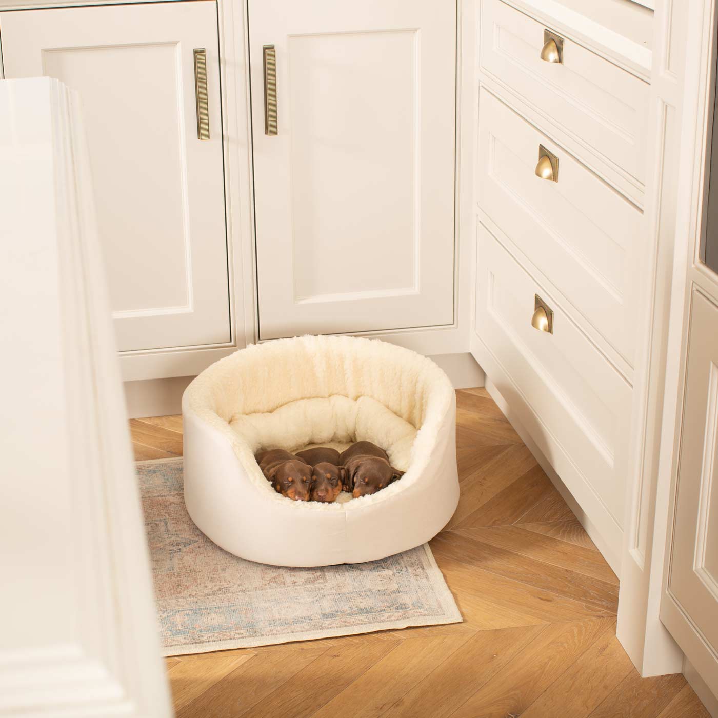 Grow With me Puppy Oval Bed, Crafted From Plush Sherpa Fleece & Suede Outer, Complete With Foam Inner For The Perfect Bed For Your Dog! Available Now at Lords & Labradors US