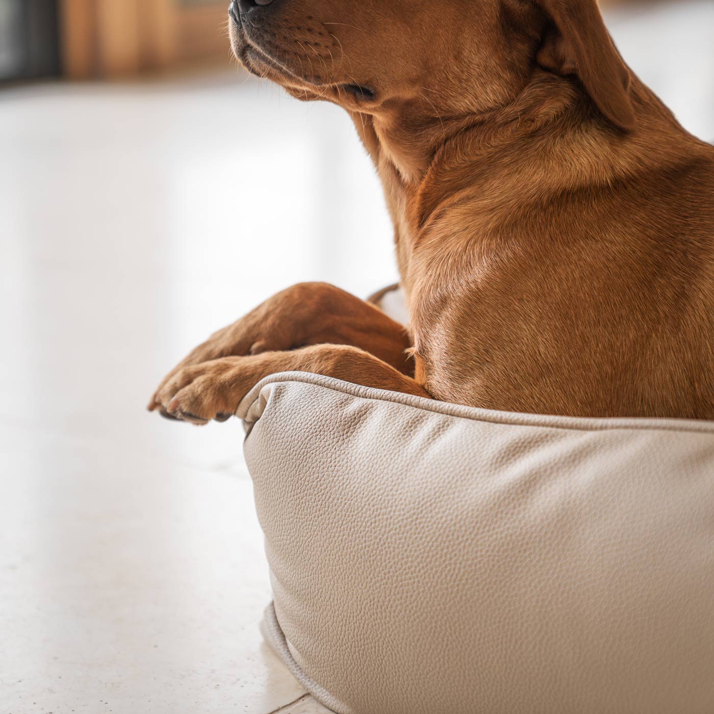 Luxury Handmade Box Bed in Rhino Tough Desert Faux Leather, in Sand, Perfect For Your Pets Nap Time! Available To Personalize at Lords & Labradors US