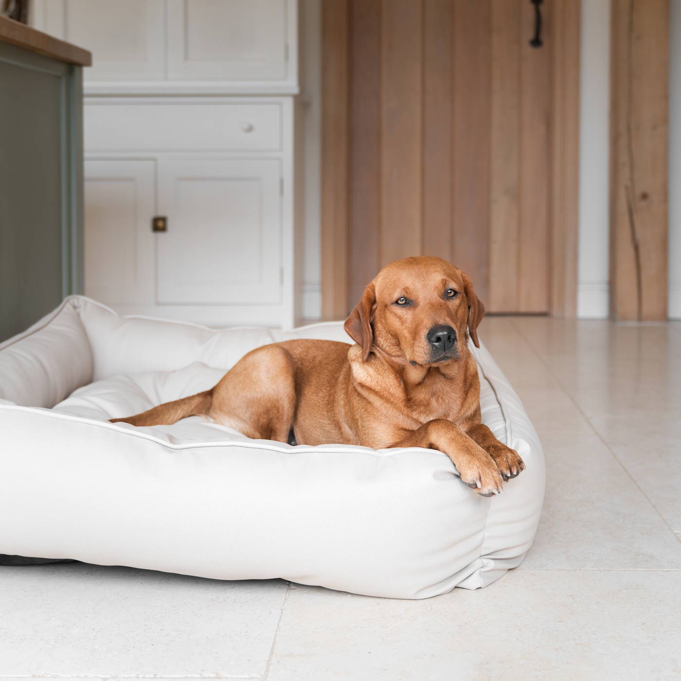 Luxury Handmade Box Bed in Rhino Tough Desert Faux Leather, in Sand, Perfect For Your Pets Nap Time! Available To Personalize at Lords & Labradors US