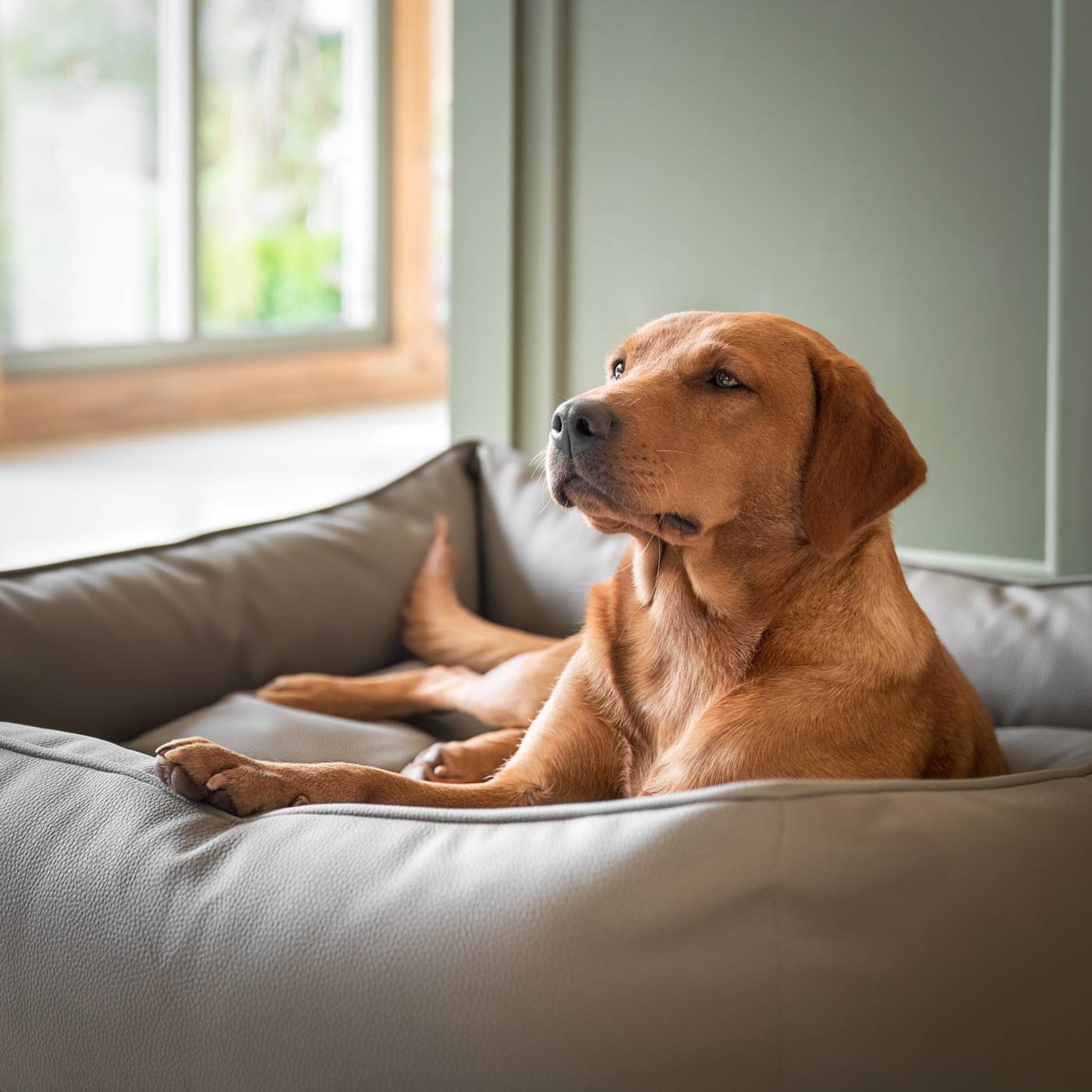 Luxury Handmade Box Bed in Rhino Tough Desert Faux Leather, in Camel, Perfect For Your Pets Nap Time! Available To Personalize at Lords & Labradors US