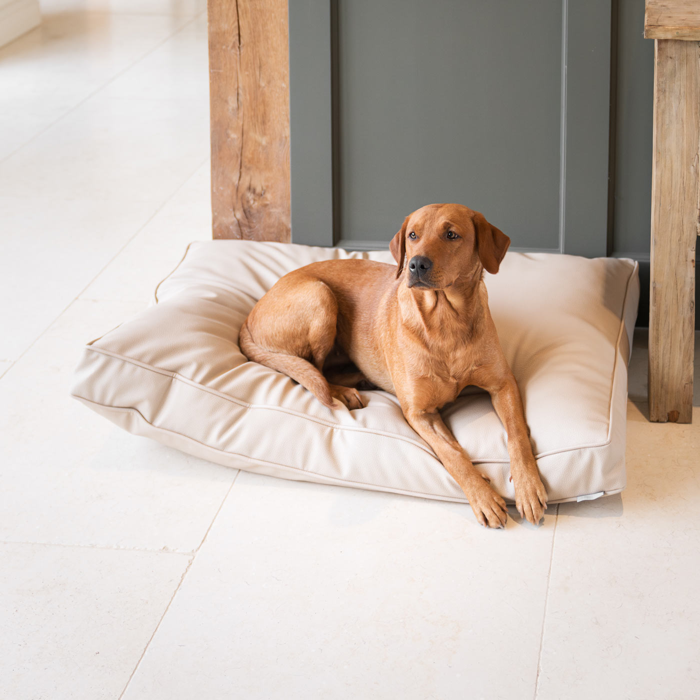 Luxury Dog Cushion in Rhino Tough Desert Faux Leather in Sand. The Perfect Pet Bed Time Accessory! Available Now at Lords & Labradors US