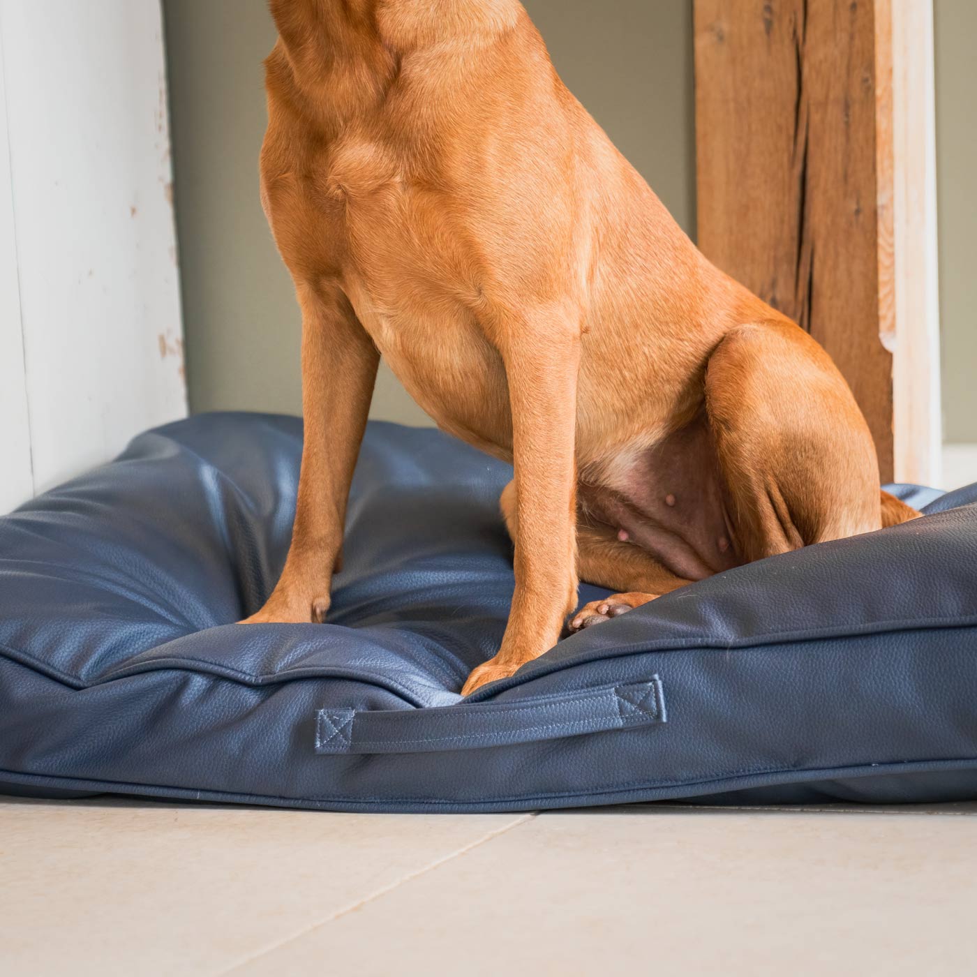 Luxury Dog Cushion in Rhino Tough Jungle Pacific Faux Leather, The Perfect Pet Bed Time Accessory! Available Now at Lords & Labradors US