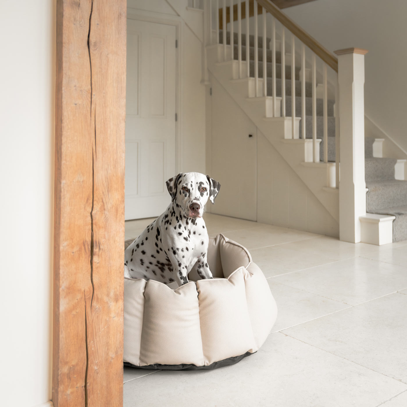 Luxury Handmade High Wall in Rhino Tough Desert Faux Leather, in Sand, Perfect For Your Pets Nap Time! Available To Personalize at Lords & Labradors US