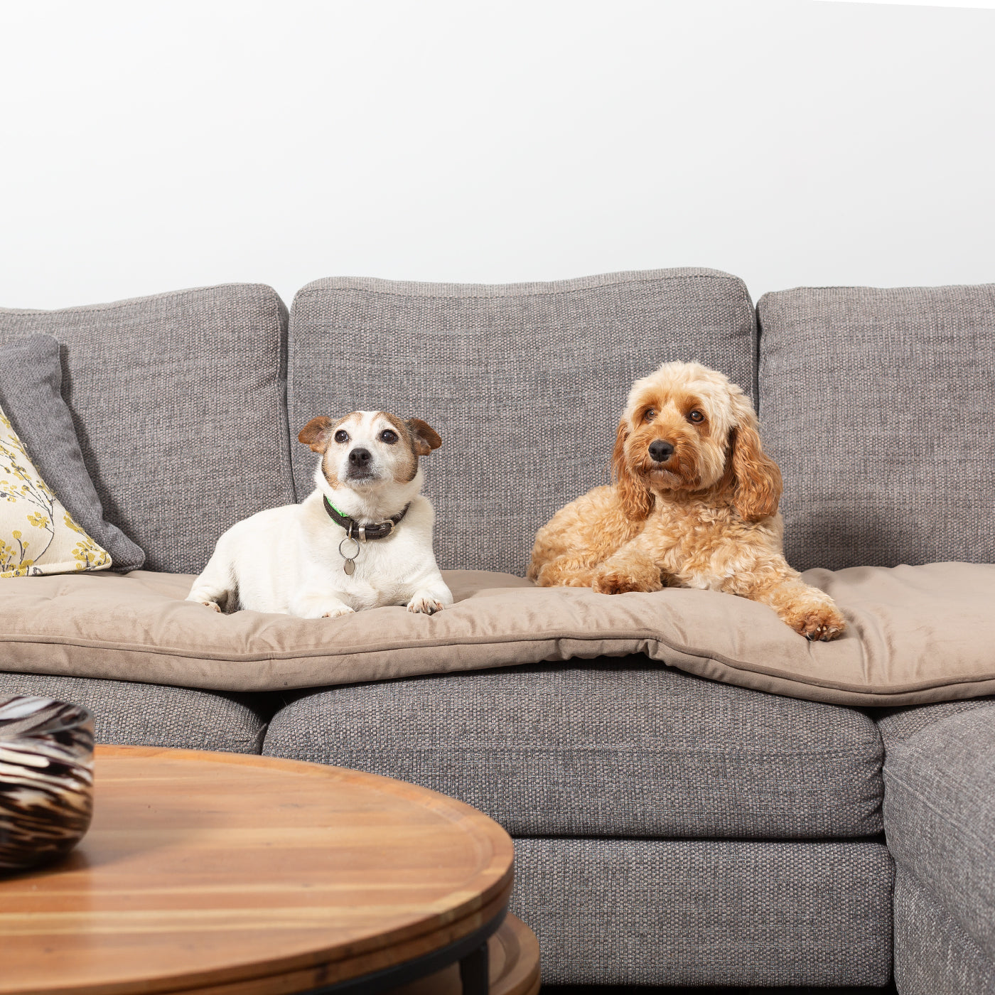 Couch Topper in Clay Velvet By Lords & Labradors