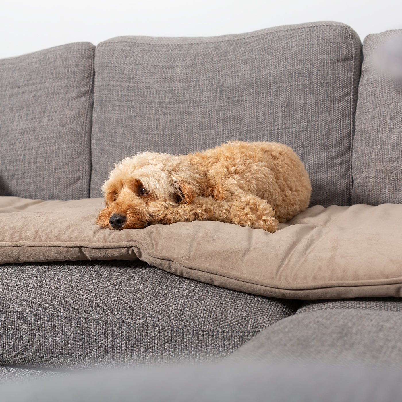 Couch Topper in Clay Velvet By Lords & Labradors