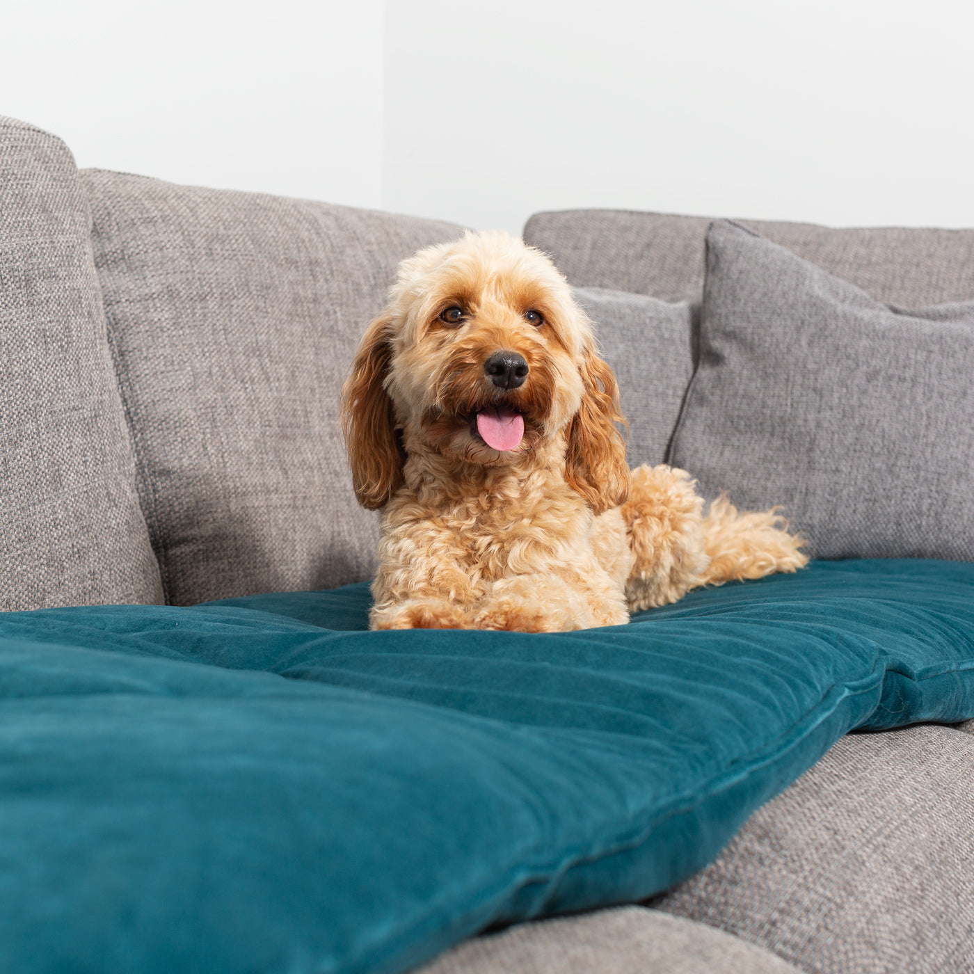 Couch Topper in Marine Velvet By Lords & Labradors