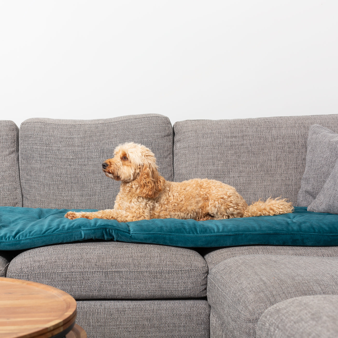 Couch Topper in Marine Velvet By Lords & Labradors