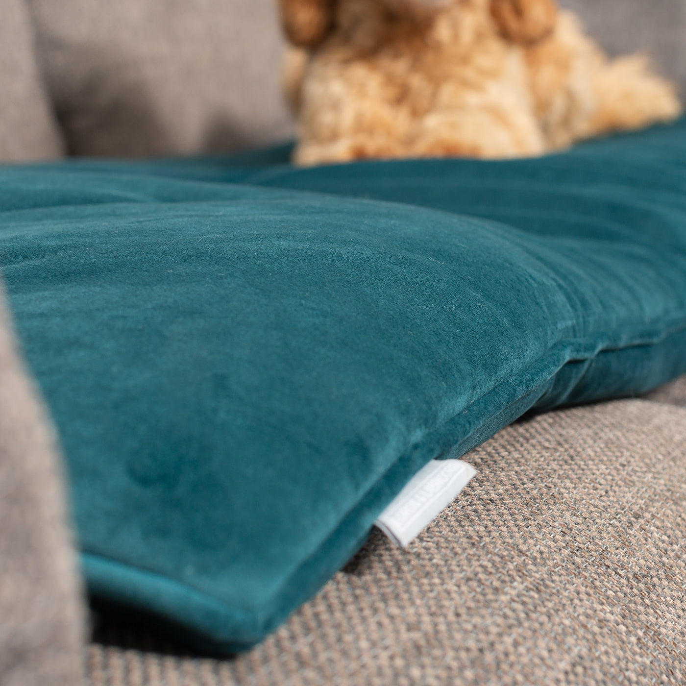 Couch Topper in Marine Velvet By Lords & Labradors