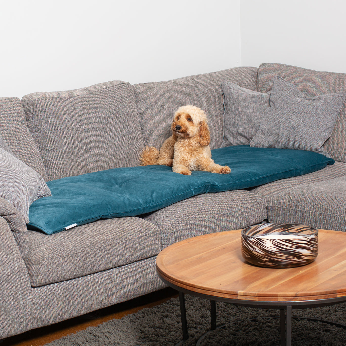 Couch Topper in Velvet Marine | Dog Sofa Protectors