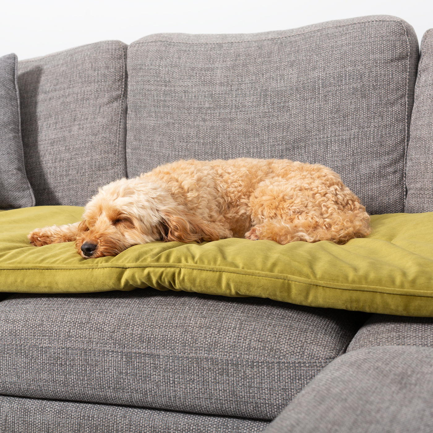 Couch Topper in Olive Velvet By Lords & Labradors