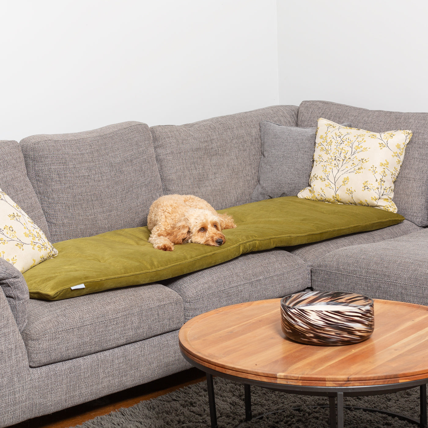 Couch Topper in Velvet Olive | Dog Sofa Protectors