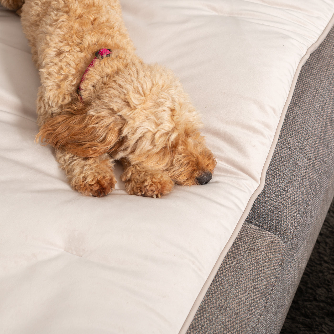 Couch Topper in Oyster Velvet By Lords & Labradors