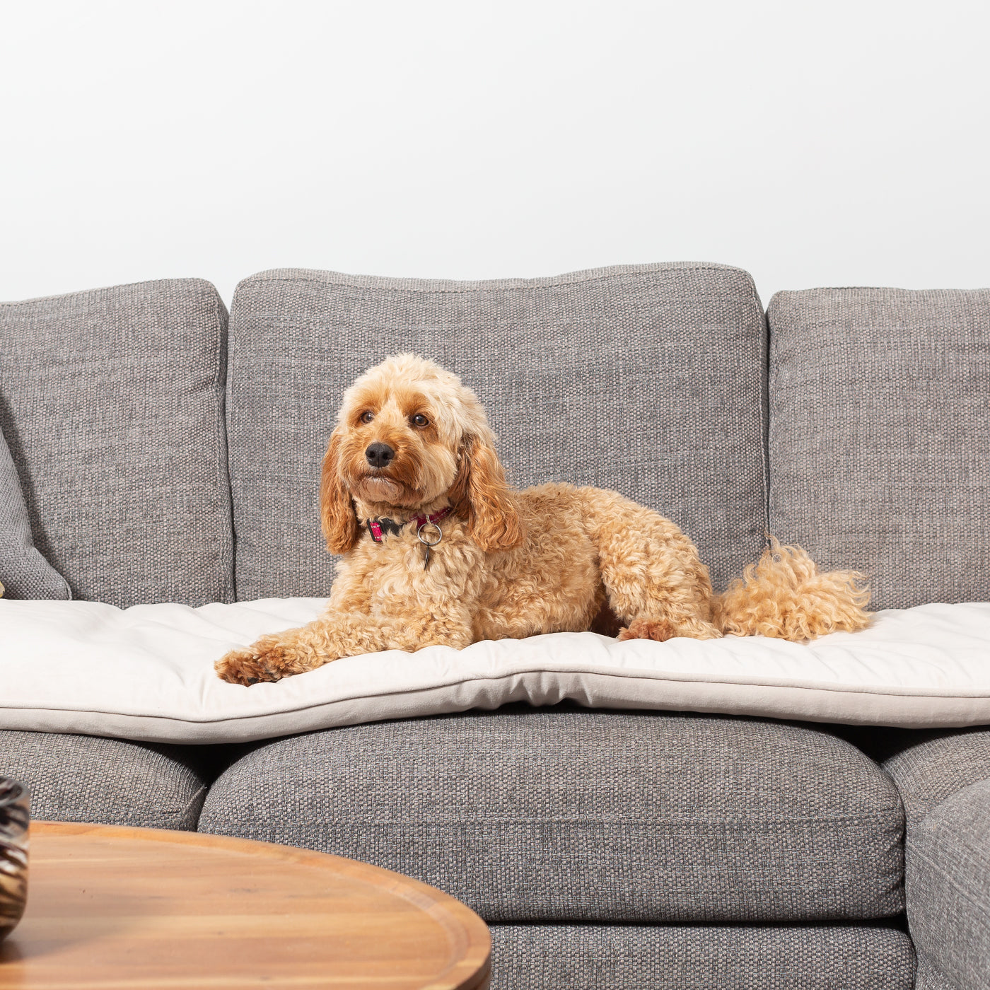 Couch Topper in Oyster Velvet By Lords & Labradors