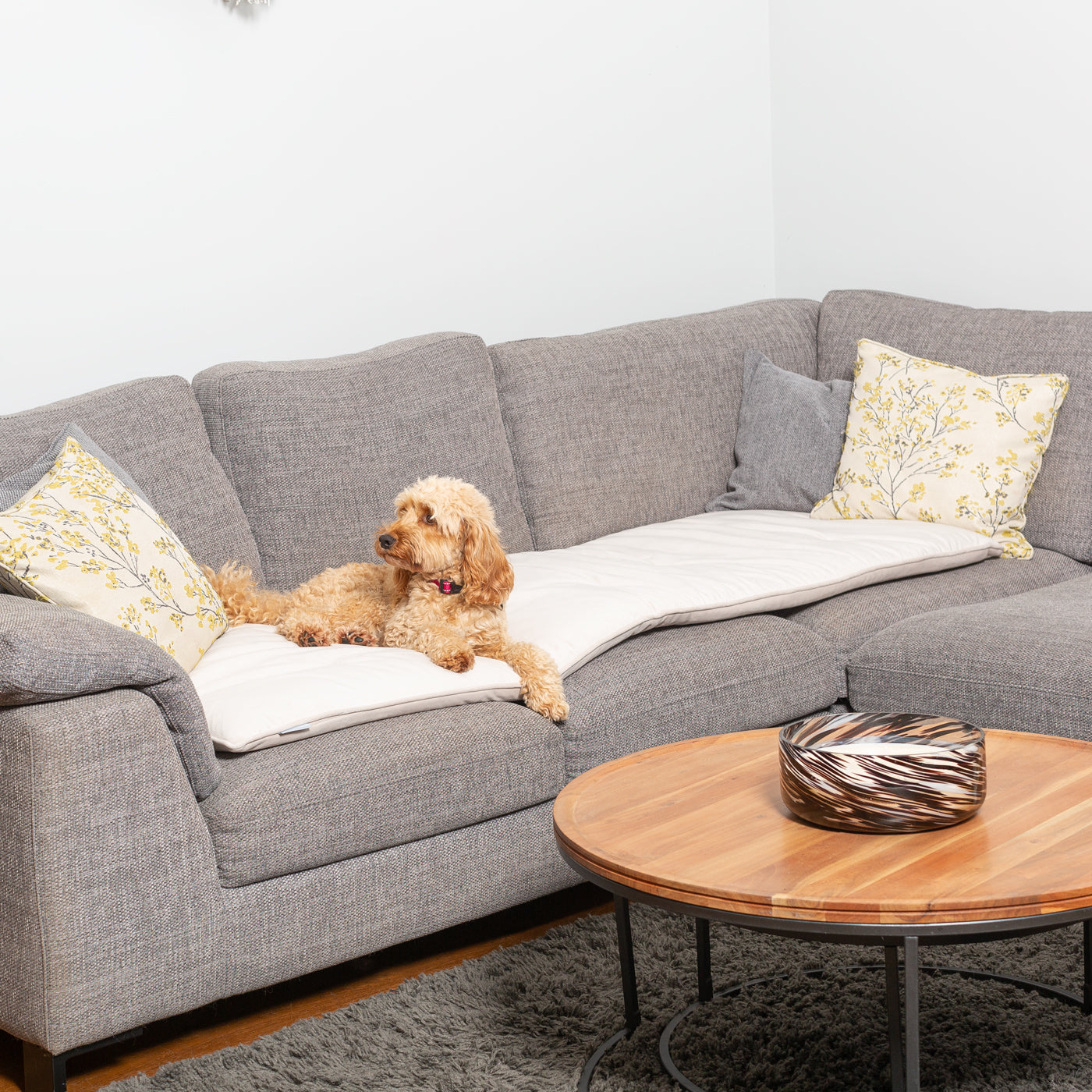 Couch Topper in Oyster Velvet By Lords & Labradors