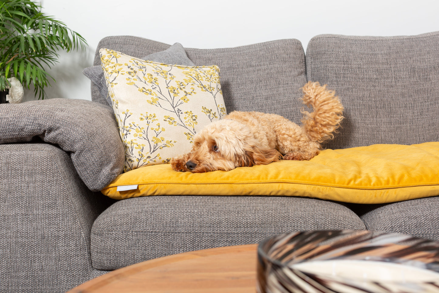 Couch Topper in Saffron Velvet By Lords & Labradors