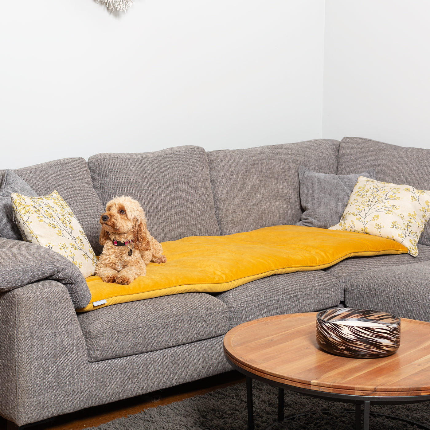 Couch Topper in Saffron Velvet By Lords & Labradors