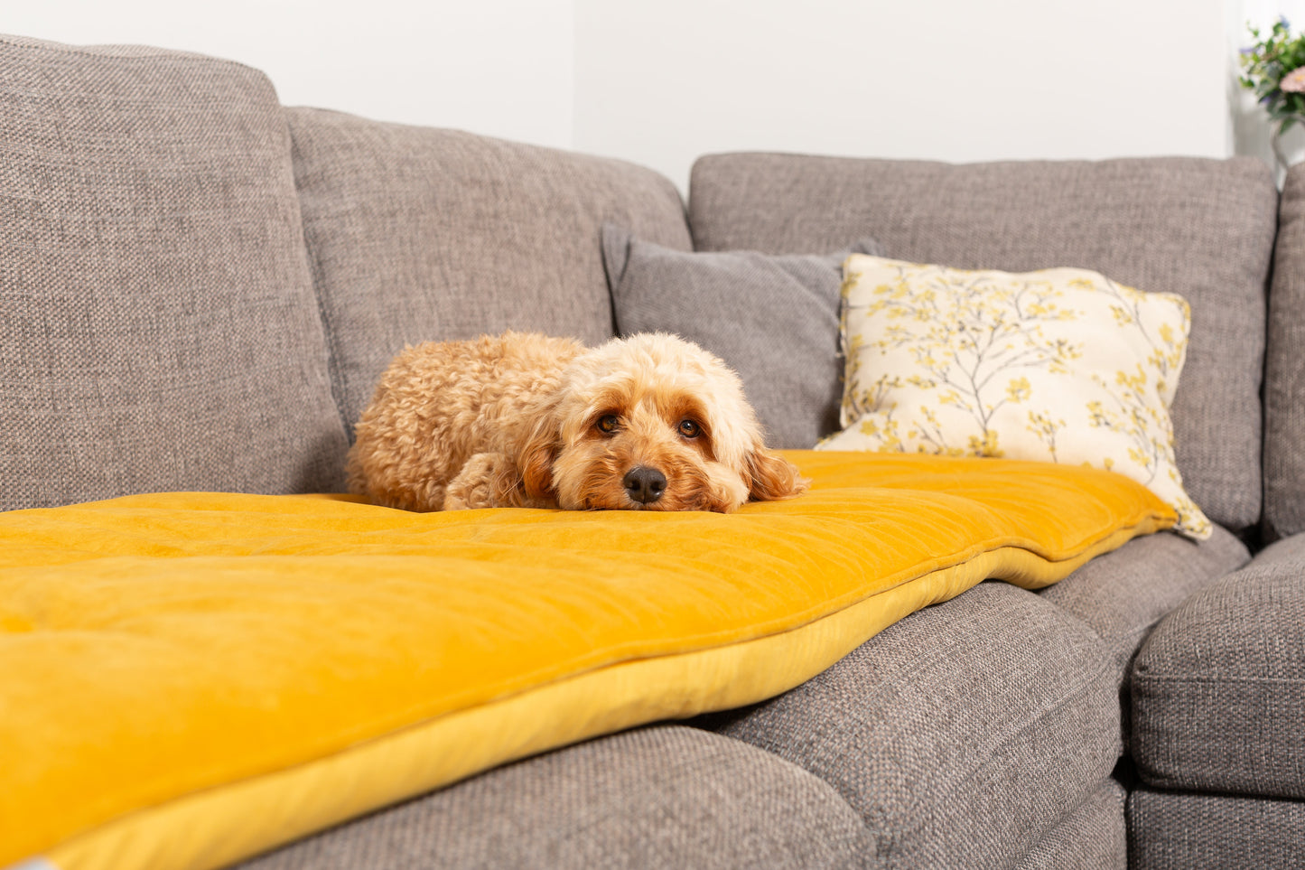 Couch Topper in Saffron Velvet By Lords & Labradors
