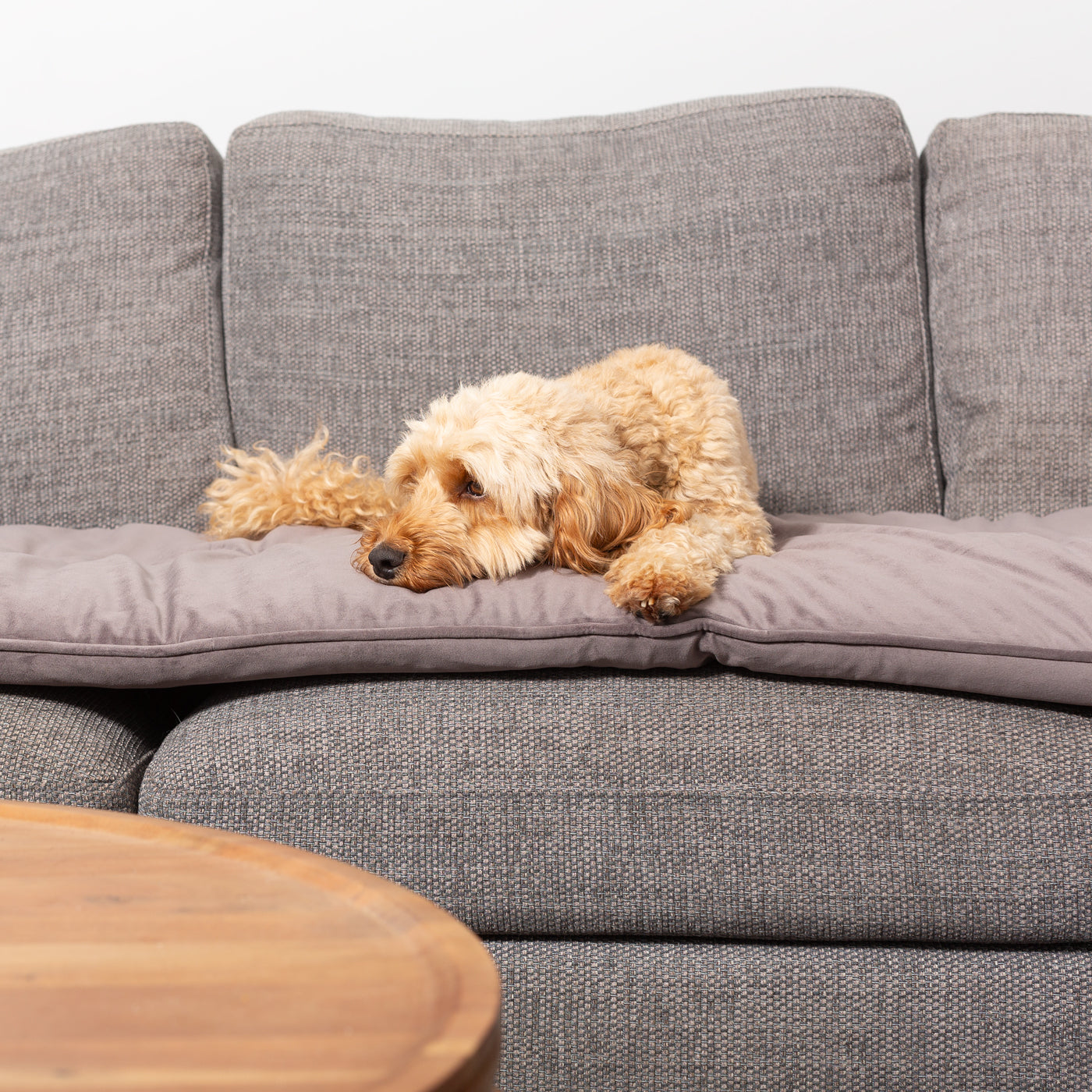 Couch Topper in Silt Velvet By Lords & Labradors