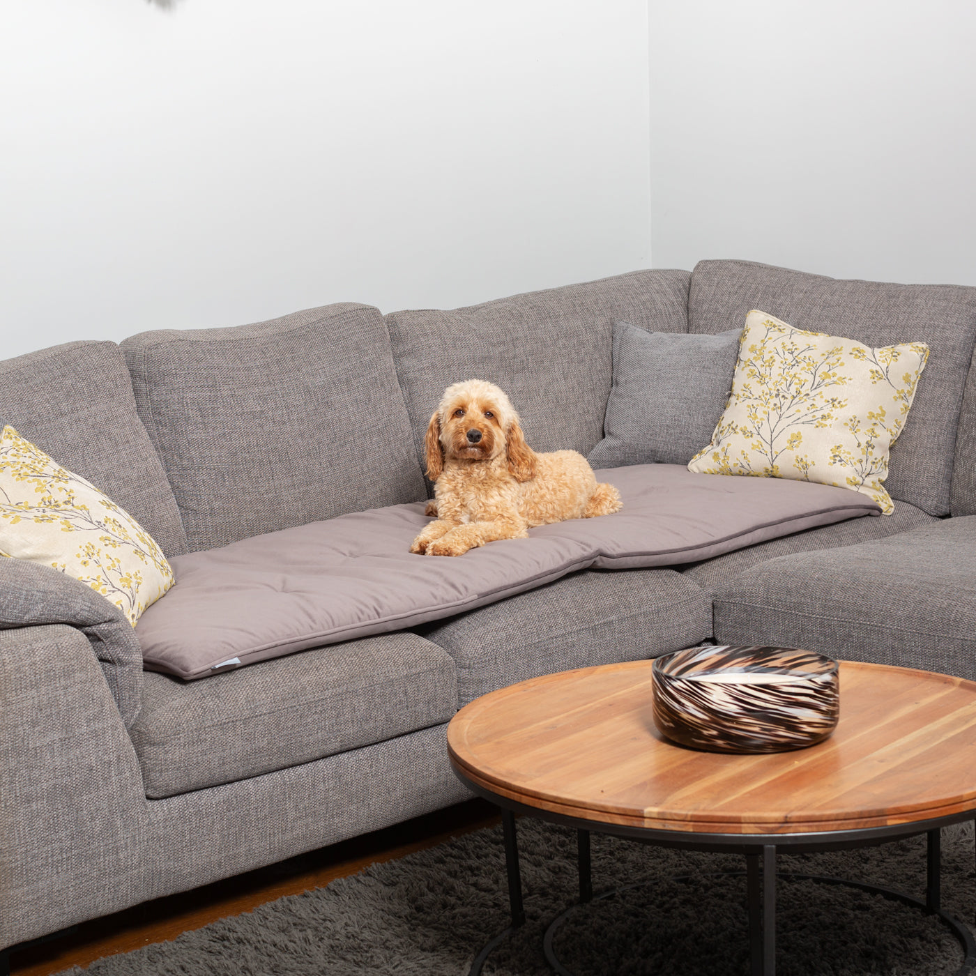 Couch Topper in Silt Velvet By Lords & Labradors
