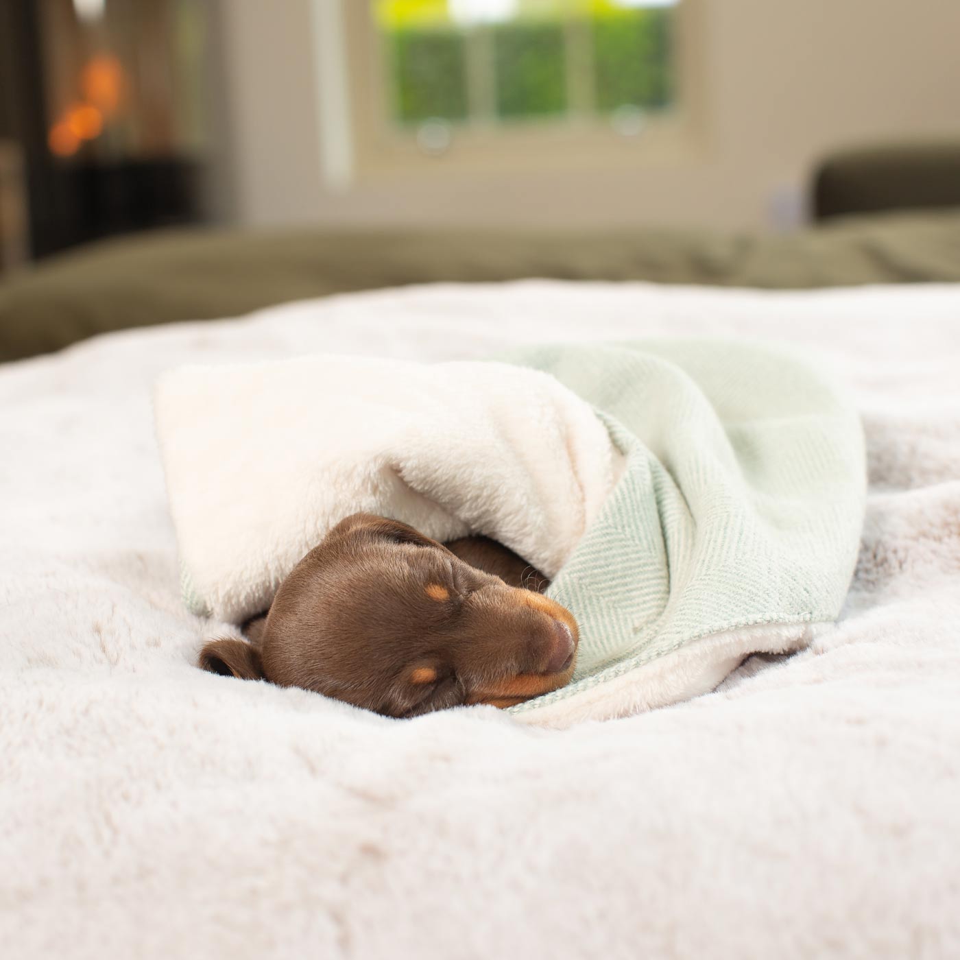 Luxury Herringbone Pet Scent Blanket collection, In Stunning Duck Egg Herringbone. The Perfect Blanket For Dogs, Available at Lords & Labradors US