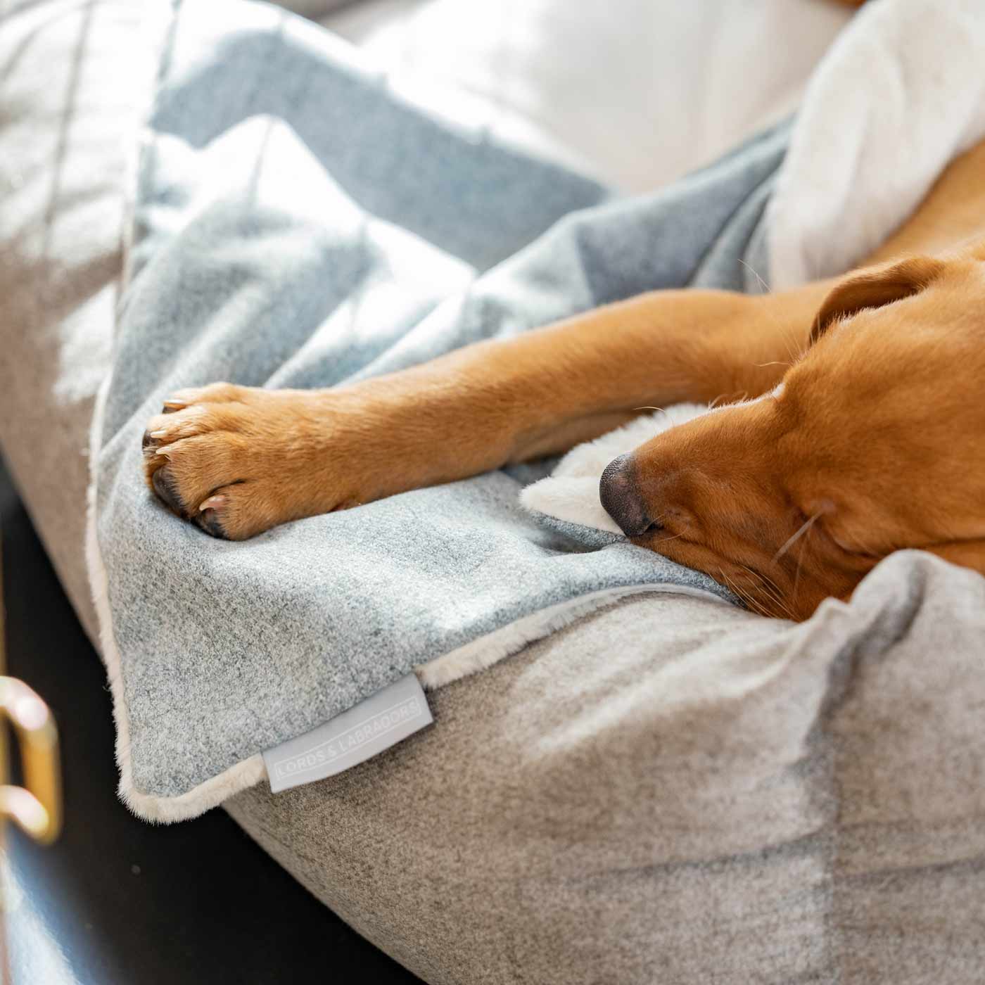 Discover The Perfect Scented Blanket For Puppies! Help Your New Furry Friend Settle Into Their New Home With Our Inchmurrin Scented Puppy Blanket In Stunning Light Grey Iceberg! Available Now at Lords & Labradors