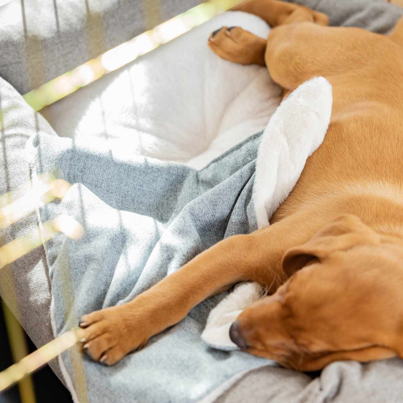 Discover The Perfect Scented Blanket For Puppies! Help Your New Furry Friend Settle Into Their New Home With Our Inchmurrin Scented Puppy Blanket In Stunning Light Grey Iceberg! Available Now at Lords & Labradors